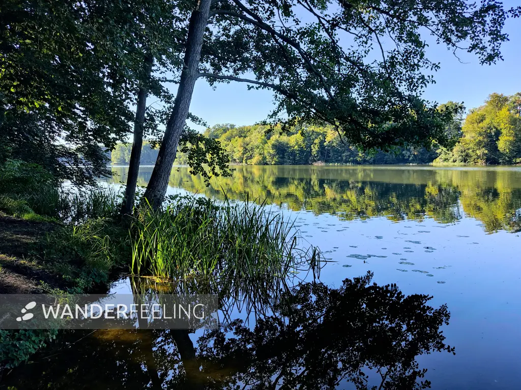 202309040-30 - Huwenowsee bei Meseberg, Ruppiner Seenland, Brandenburg, Deutschland
