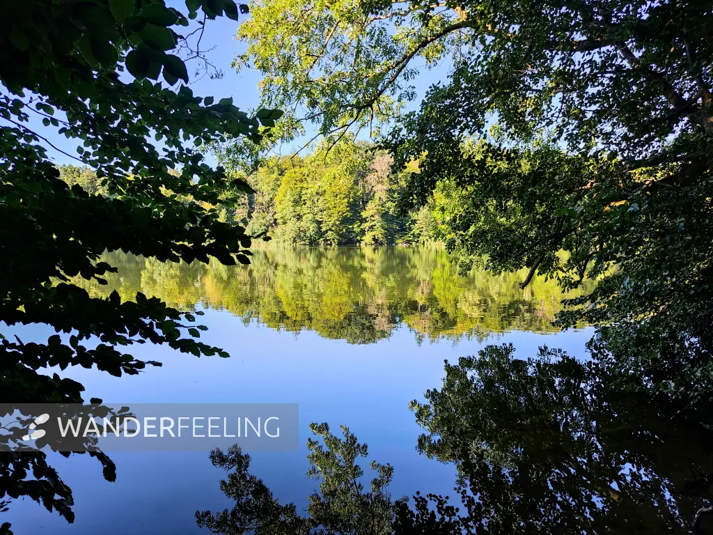 202309040-31 - Huwenowsee bei Meseberg, Ruppiner Seenland, Brandenburg, Deutschland