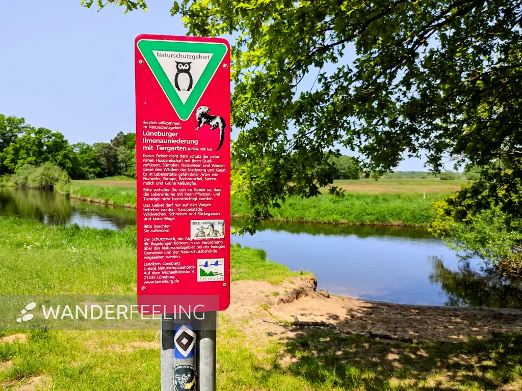 202305260-26 - Ilmenau bei Melbeck, Lüneburger Heide, Niedersachsen, Deutschland