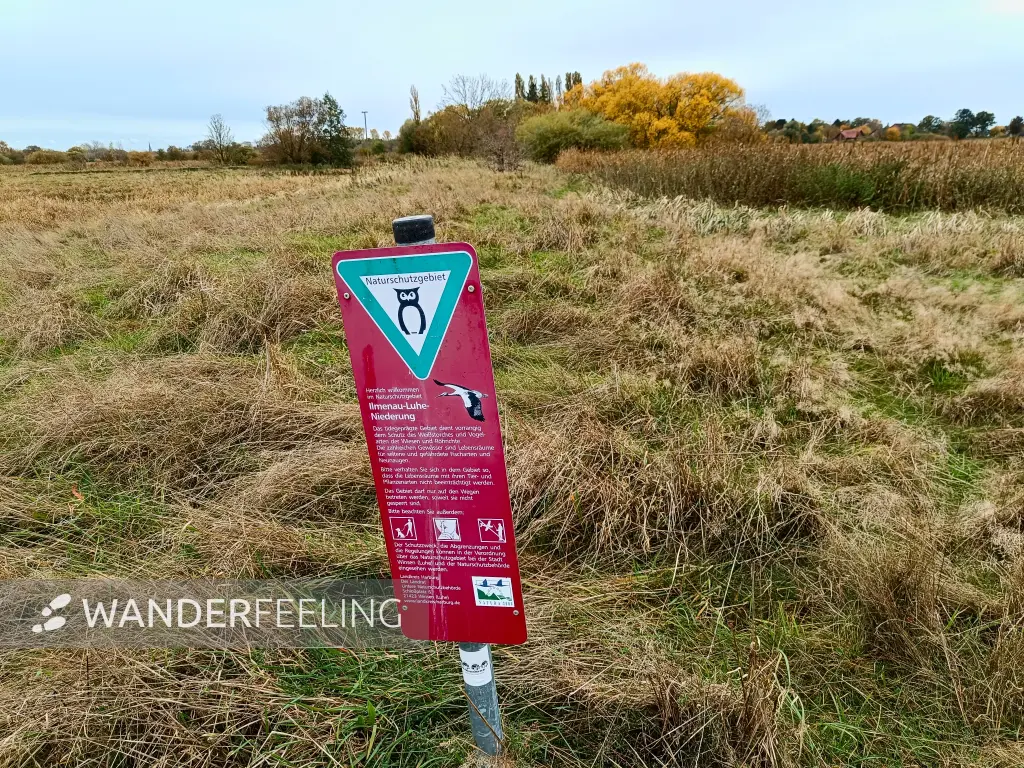 202410210-24 - Ilmenau-Luhe-Niederung bei Winsen (Luhe), Lüneburger Heide, Niedersachsen, Deutschland