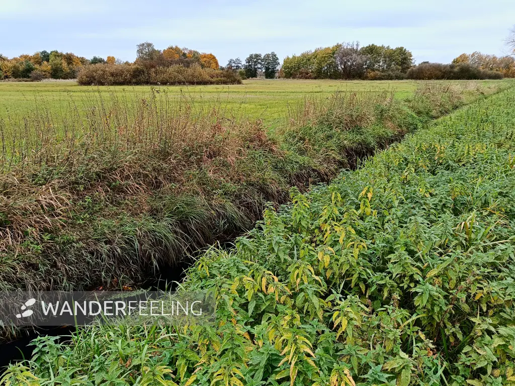 202410210-29 - Ilmenau-Luhe-Niederung bei Winsen (Luhe), Lüneburger Heide, Niedersachsen, Deutschland