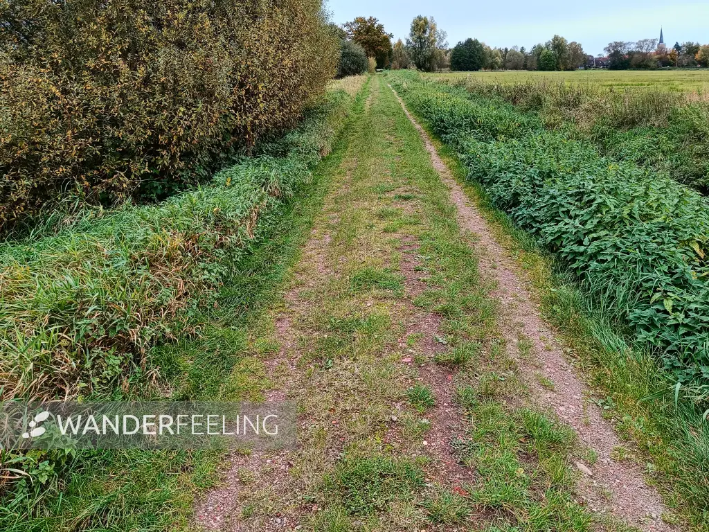 202410210-30 - Ilmenau-Luhe-Niederung bei Winsen (Luhe), Lüneburger Heide, Niedersachsen, Deutschland
