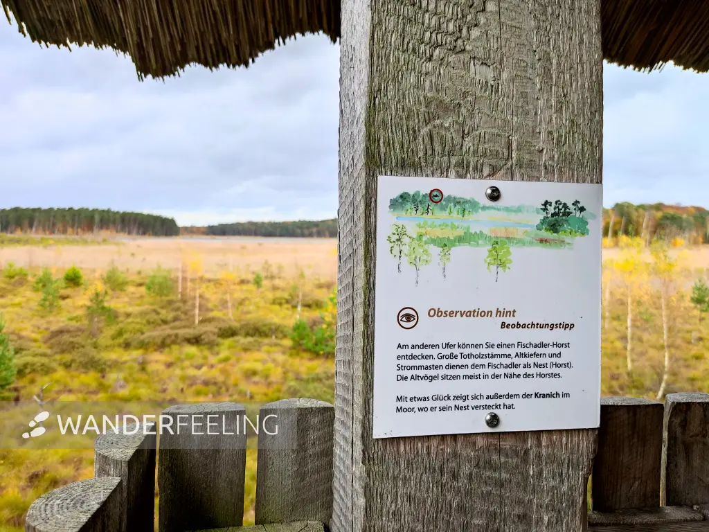 202311060-23 - Informatiionstafel am Großen Serrahnsee im Müritz-Nationalpark bei Carpin, Mecklenburgische Seenplatte, Mecklenburg-Vorpommern, Deutschland