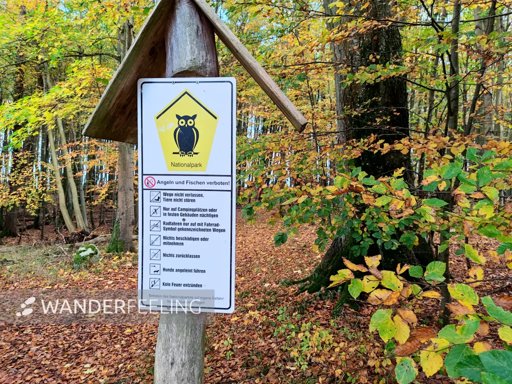 202311070-24 - Informationsschild im Nationalpark Jasmund bei Sassnitz, Rügen, Mecklenburg-Vorpommern, Deutschland