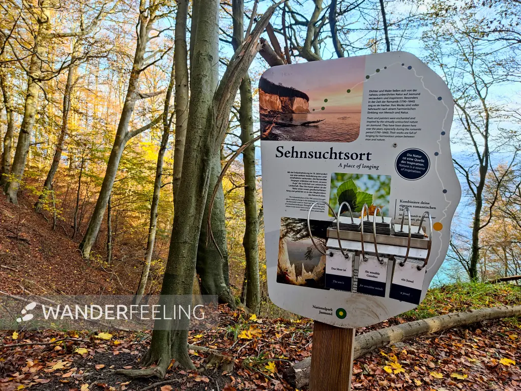 202311070-29 - Informationsschild im Nationalpark Jasmund, Rügen, Mecklenburg-Vorpommern, Deutschland