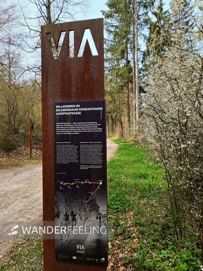 202604270-09 - Informationstafel Agrippastraße bei Nettersheim, Eifel, Nordrhein-Westfalen, Deutschland