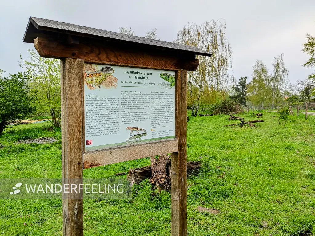 202304290-06 - Informationstafel am Hahneberg in Spandau, Berlin, Deutschland