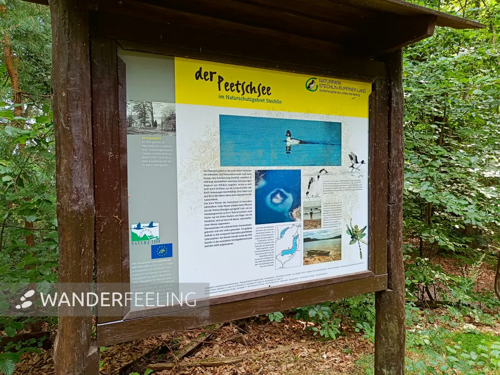 202509010-18 - Informationstafel am Peetschsee im NSG Stechlin, Ruppiner Seenland, Brandenburg, Deutschland