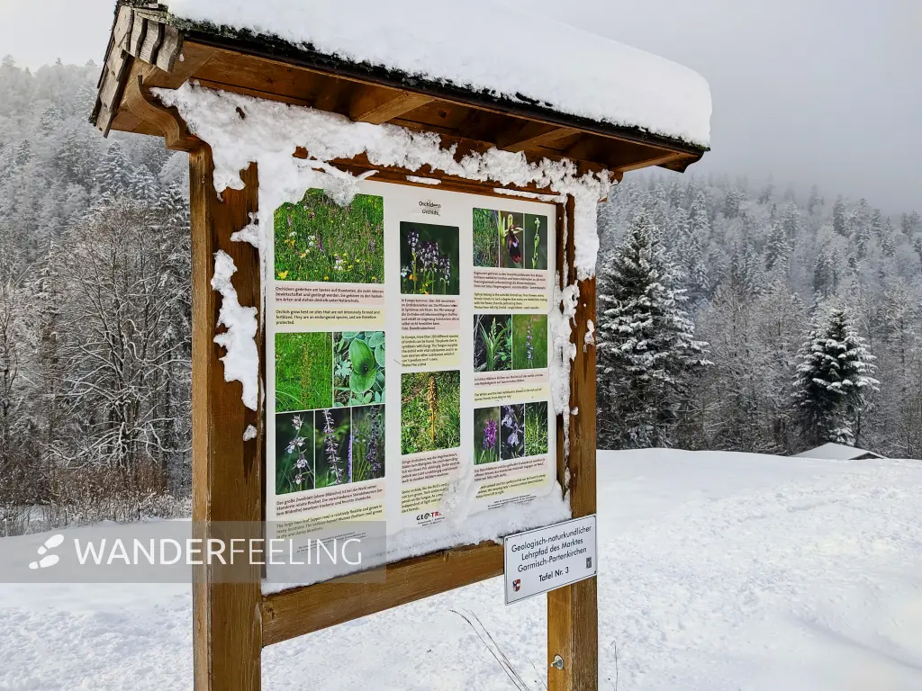 202212170-33 - Informationstafel auf der Graseckalm bei Garmisch-Partenkirchen, Oberbayern, Bayern, Deutschland
