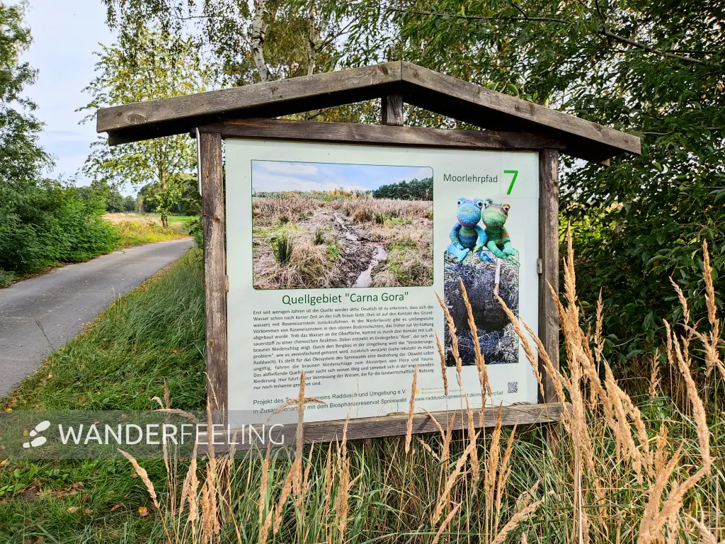 202310060-35 - Informationstafel bei Raddusch, Spreewald, Brandenburg, DeutschandSpr
