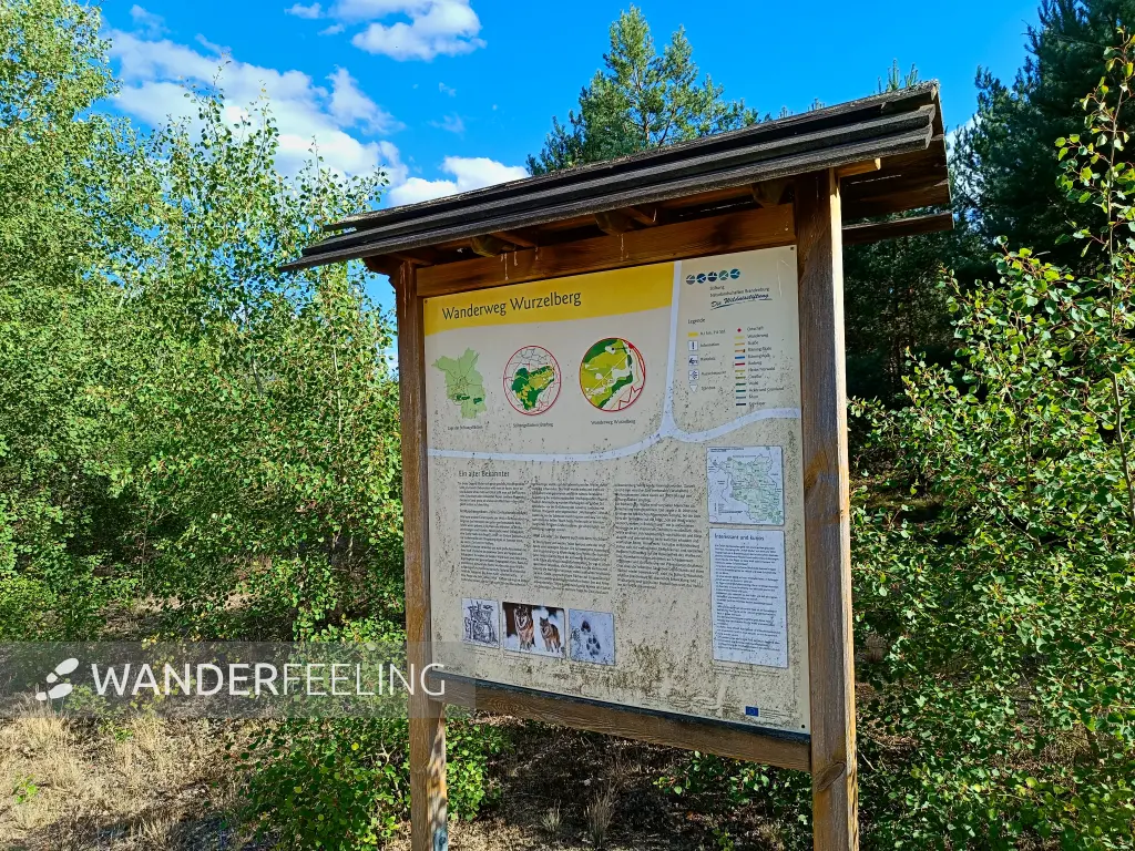 202508180-14 - Informationstafel im Wildnisgebiet Jüterbog bei Luckenwalde, Fläming, Brandenburg, Deutschland