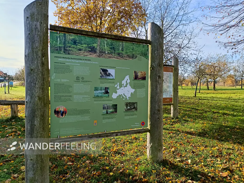202511040-02 - Informationstafel in Carpin, Mecklenburgische Seenplatte, Mecklenburg-Vorpommern, Deutschland