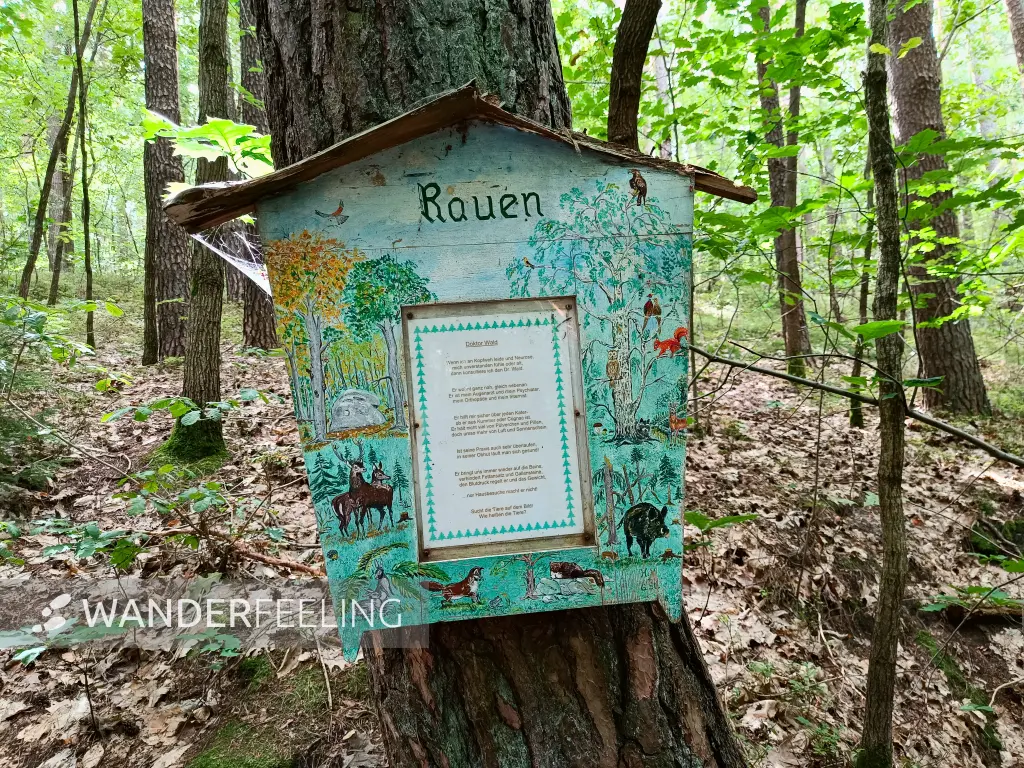 202508230-19 - Infotafel »Doktor Wald« in den Rauener Bergen, Seenland Oder-Spree, Brandenburg, Deutschland