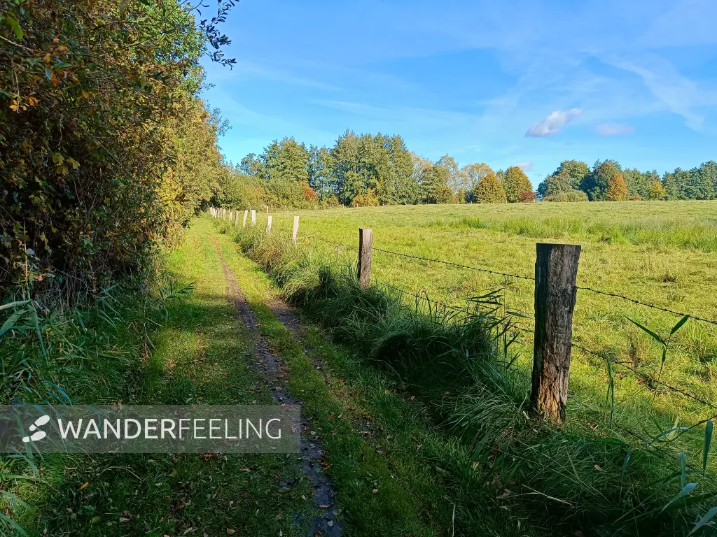 202510130-14 - Insel Schwerin bei Krakow am See, Mecklenburgische Seenplatte, Mecklenburg-Vorpommern, Deutschland