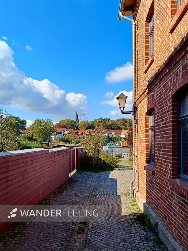 202509300-06 - Inselstadt Malchow, Mecklenburgische Seenplatte, Mecklenburg-Vorpommern, Deutschland