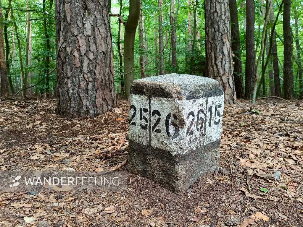 202508300-30 - Jagenstein im Spandauer Forst, Berlin, Deutschland