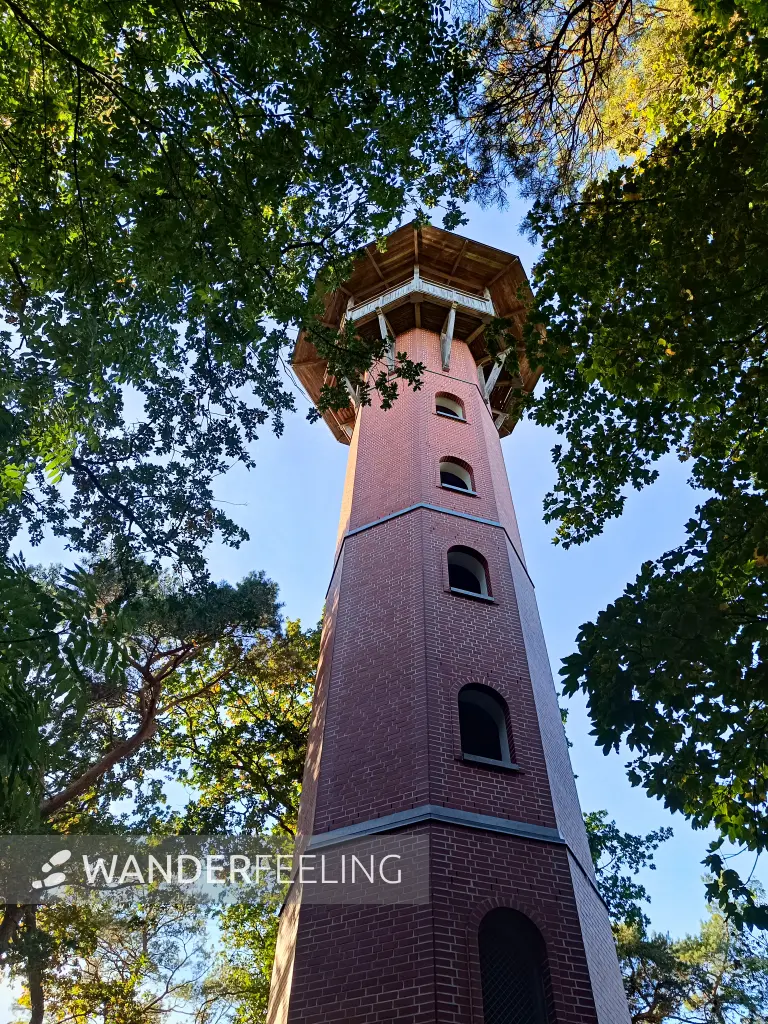 202510130-36 - Jörnbergturm bei Krakow am See, Mecklenburgische Seenplatte, Mecklenburg-Vorpommern, Deutschland