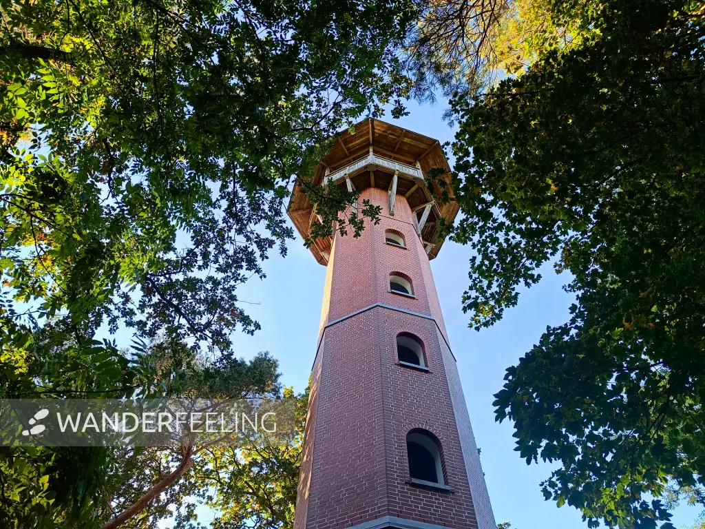 202510130-37 - Jörnbergturm bei Krakow am See, Mecklenburgische Seenplatte, Mecklenburg-Vorpommern, Deutschland