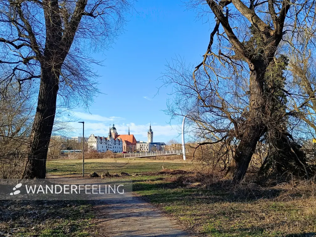 202603030-19 - Johannbau und Marienkirche in Dessau, Anhalt-Dessau-Wittenberg, Sachsen-Anhalt, Deutschland