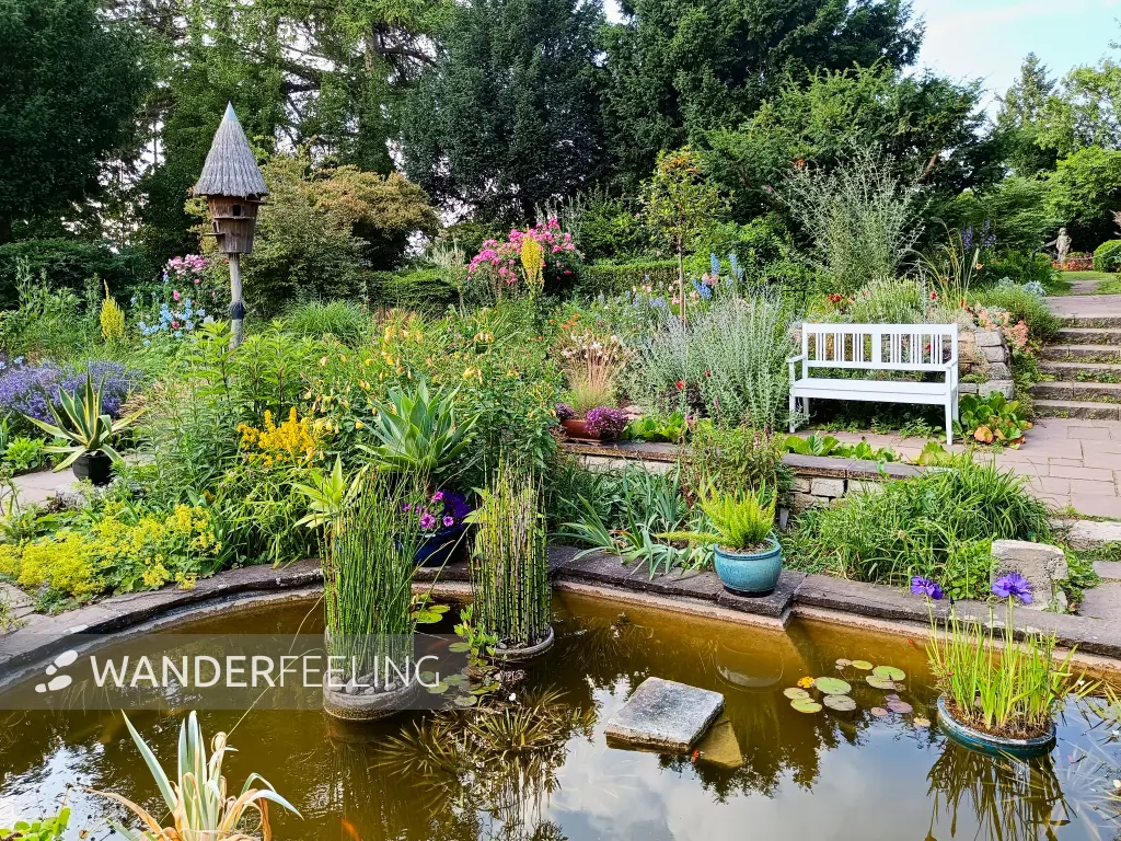 202506250-18 - Karl-Foerster-Garten, Potsdam, Brandenburg, Deutschland