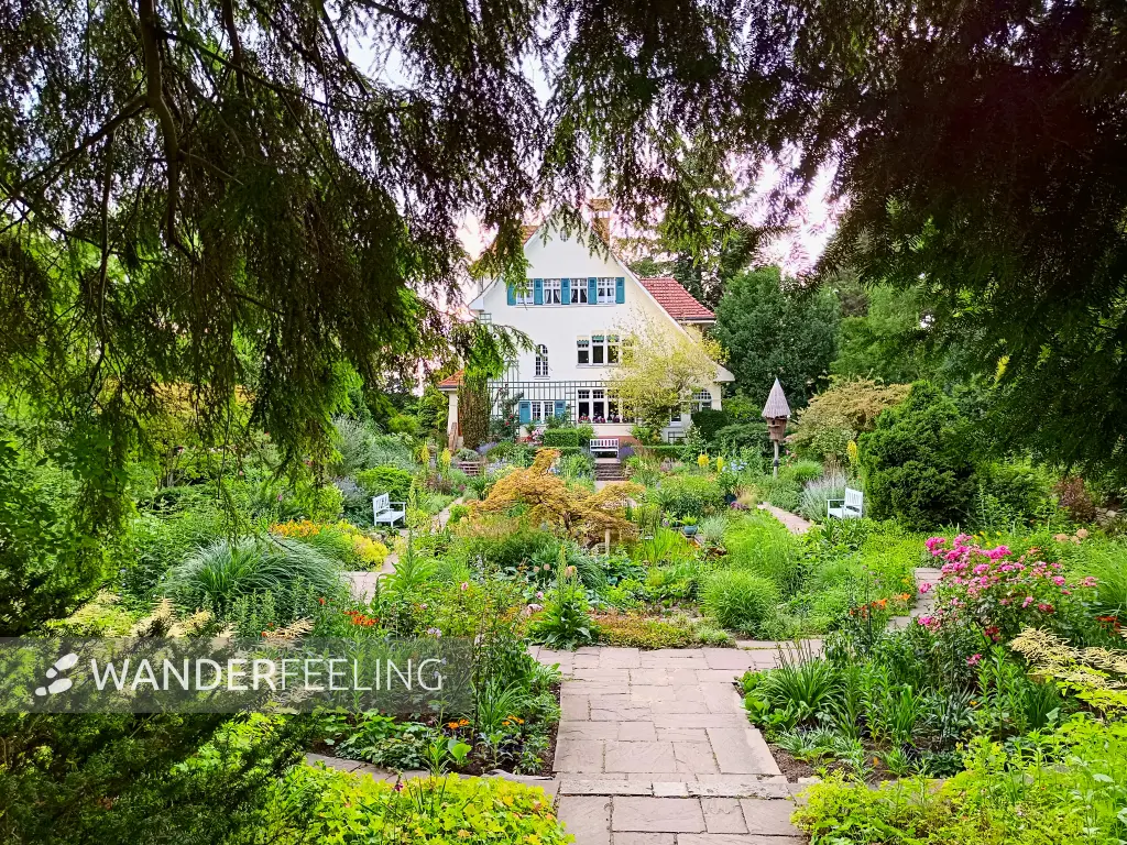 202506250-20 - Karl-Foerster-Garten, Potsdam, Brandenburg, Deutschland