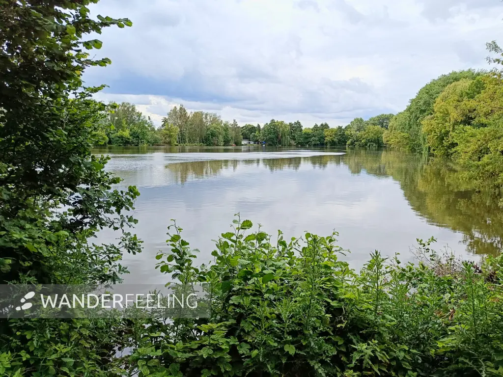 202506070-03 - Karpfenteich in Pankow, Berlin, Deutschland