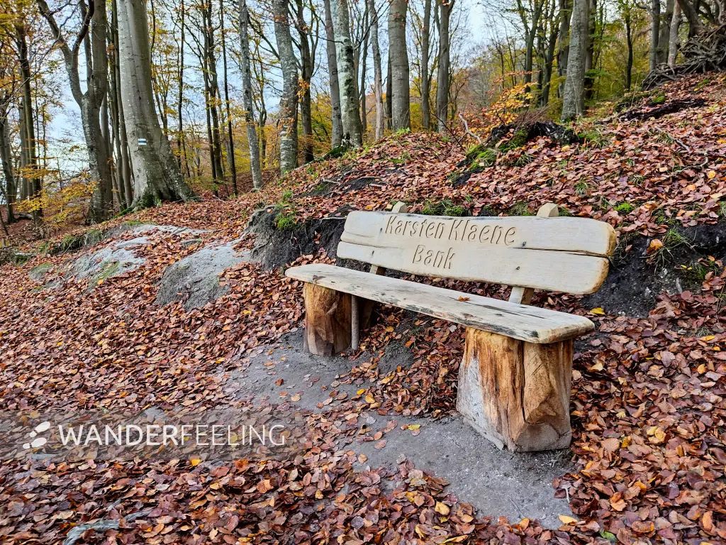 202311070-48 - Karsten-Kleene-Bank im Nationalpark Jasmund, Rügen, Mecklenburg-Vorpommern, Deutschland