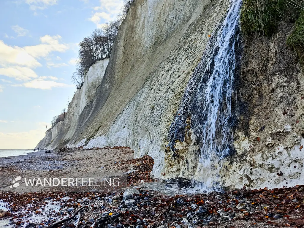 202311070-38 - Kieler Bach an der Kreideküste im Nationalpark Jasmund, Rügen, Mecklenburg-Vorpommern, Deutschland