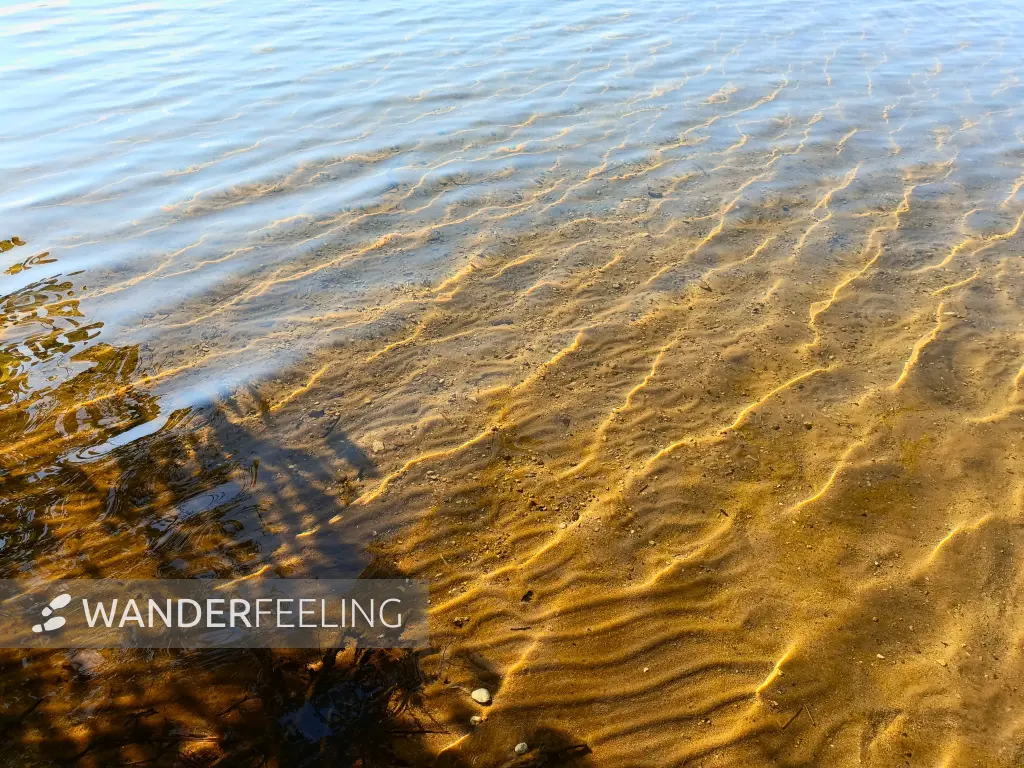 202408260-32 - Klares Wasser im Bergwitzsee, Anhalt-Dessau-Wittenberg, Sachsen-Anhalt, Deutschland