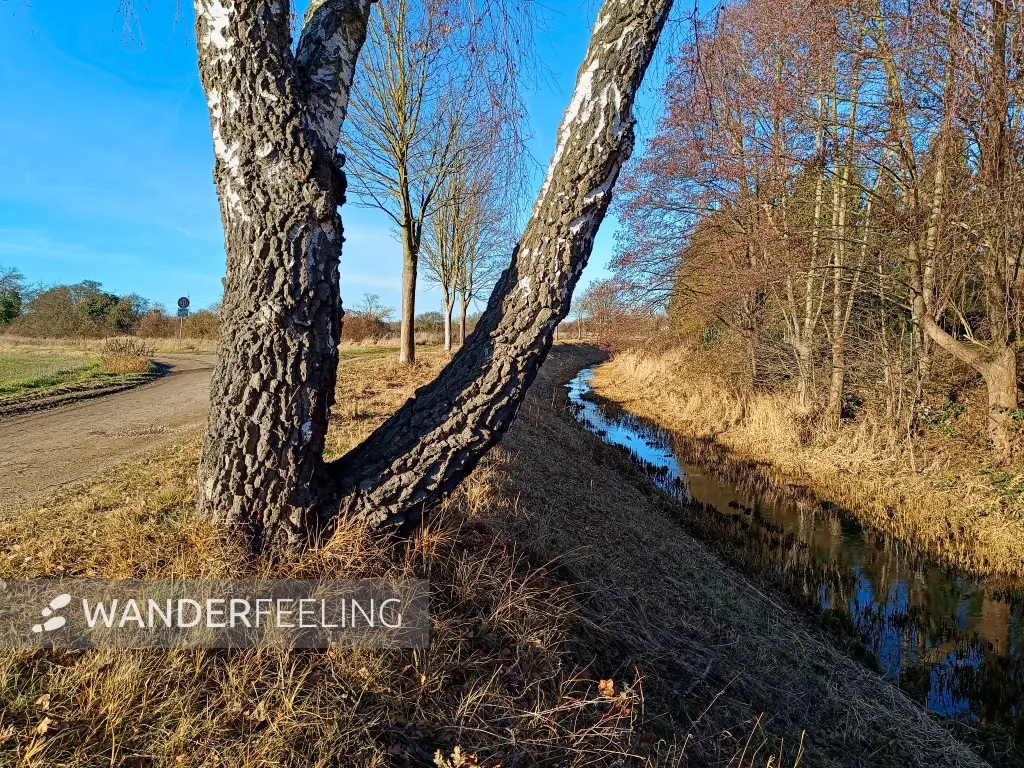 202512150-15 - Kleine Elster in Doberlug-Kirchhain, Elbe-Elster-Land, Brandenburg, Deutschland