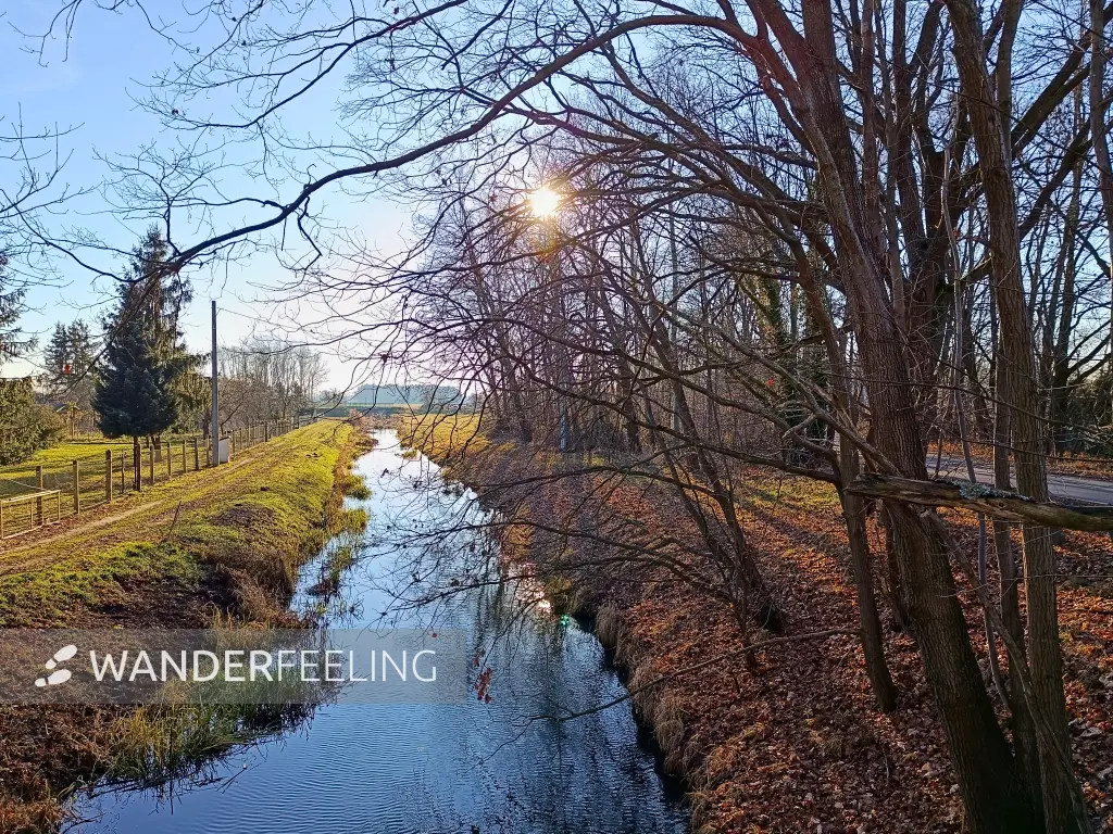 202512150-17 - Kleine Elster in Doberlug-Kirchhain, Elbe-Elster-Land, Brandenburg, Deutschland