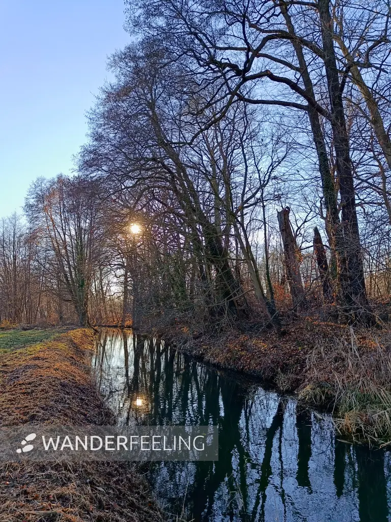 202512150-18 - Kleine Elster in Doberlug-Kirchhain, Elbe-Elster-Land, Brandenburg, Deutschland