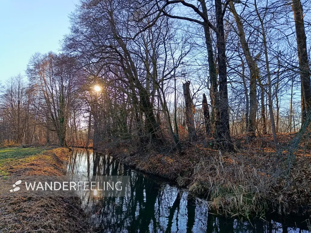 202512150-19 - Kleine Elster in Doberlug-Kirchhain, Elbe-Elster-Land, Brandenburg, Deutschland