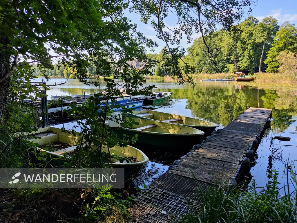 202309160-01 - Kleiner Glubigsee bei Wendisch Rietz, Seenland Oder-Spree, Brandenburg, Deutschland