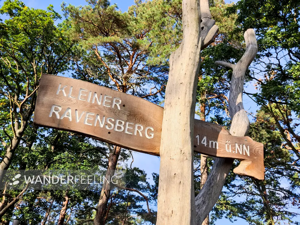 202310140-14 - Kleiner Ravensberg im Erholungswald Ravensberge, Potsdam, Brandenburg, Deutschland