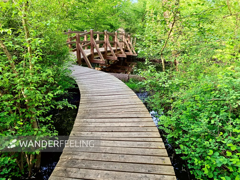 202404290-15 - Kleiner-Spreewald-Park in Schöneiche, Seenland Oder-Spree, Brandenburg, Deutschland