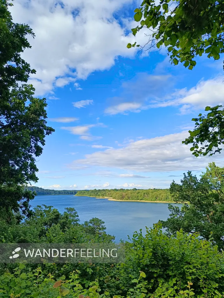 202606090-14 - Kleiner Zansen-Blick bei Carwitz, Mecklenburgische Seenplatte, Mecklenburg-Vorpommern, Deutschland