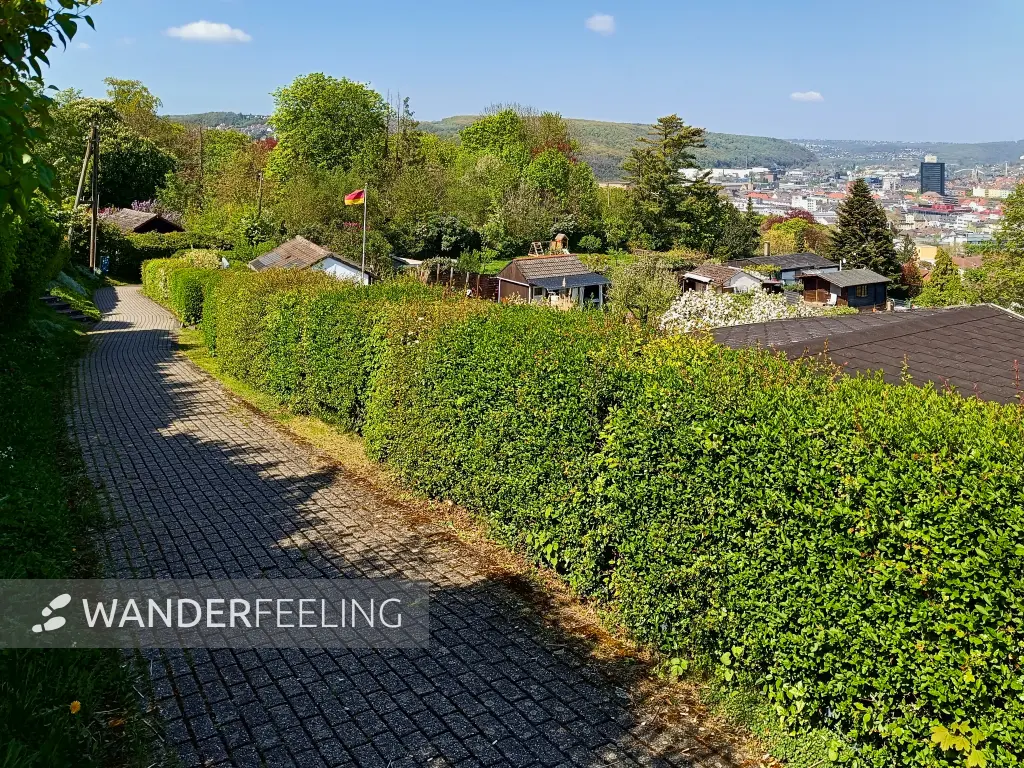 202604210-02 - Kleingärten in Hagen, Ruhrgebiet, Nordrhein-Westfalen, Deutschland