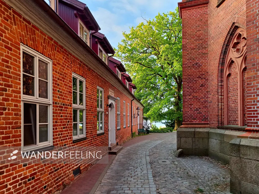 202605270-03 - Kloster Dobbertin, Mecklenburgische Seenplatte, Mecklenburg-Vorpommern, Deutschland