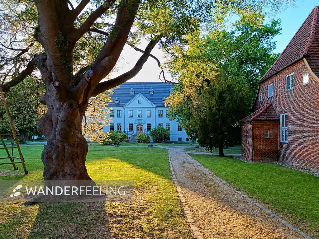 202605270-21 - Kloster Dobbertin, Mecklenburgische Seenplatte, Mecklenburg-Vorpommern, Deutschland