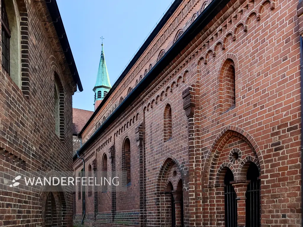202310250-05 - Kloster Lehnin, Fläming, Brandenburg, Deutschland