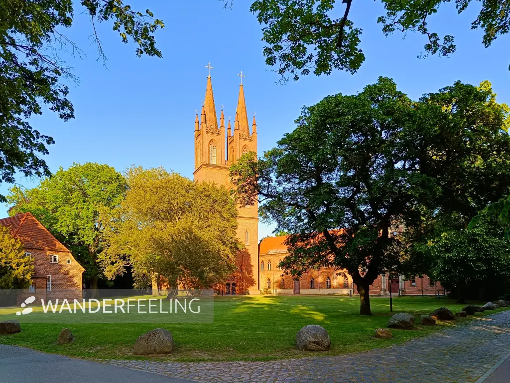 202605270-20 - Klosterkirche Dobbertin, Mecklenburgische Seenplatte, Mecklenburg-Vorpommern, Deutschland