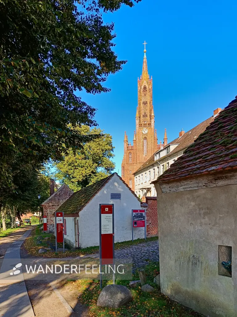 202509120-46 - Klosterkirche Malchow in der Inselstadt Malchow, Mecklenburgische Seenplatte, Mecklenburg-Vorpommern, Deutschland