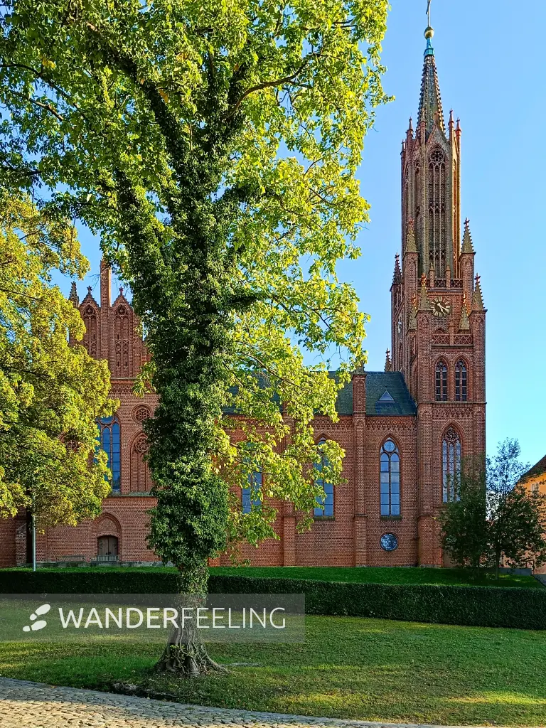 202509120-48 - Klosterkirche Malchow in der Inselstadt Malchow, Mecklenburgische Seenplatte, Mecklenburg-Vorpommern, Deutschland