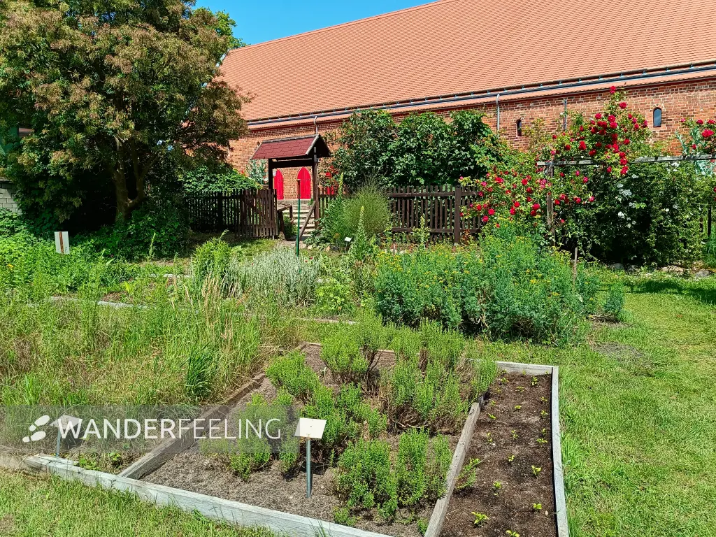 202506110-30 - Klosterkräutergarten in Himmelpfort, Ruppiner Seenland, Brandenburg, Deutschland