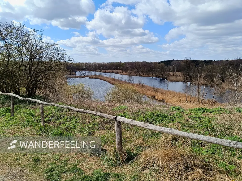 202604060-26 - Köppchensee bei Blankenfelde, Berlin, Deutschland