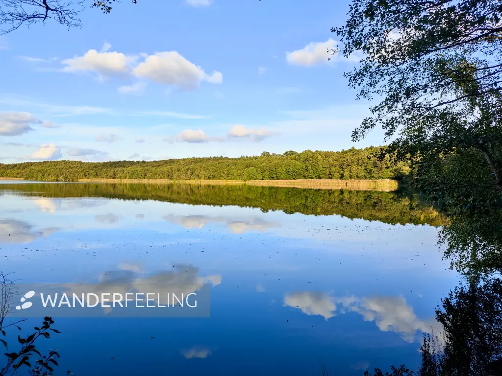 202310250-44 - Kolpinsee bei Kloster Lehnin, Fläming, Brandenburg, Deutschland