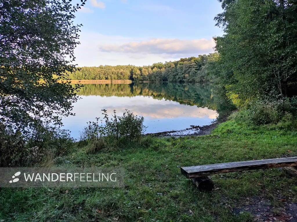 202310250-45 - Kolpinsee bei Kloster Lehnin, Fläming, Brandenburg, Deutschland
