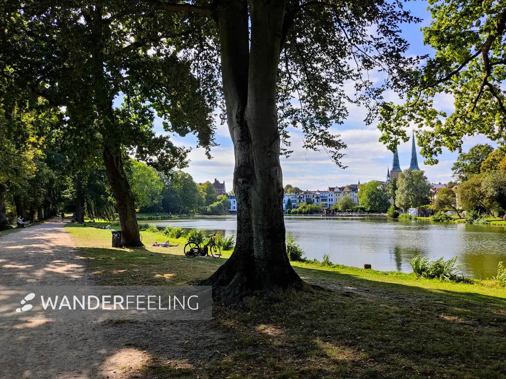 202309210-15 - Krähenteich in Lübeck, Lübecker Bucht, Schleswig-Holstein, Deutschland
