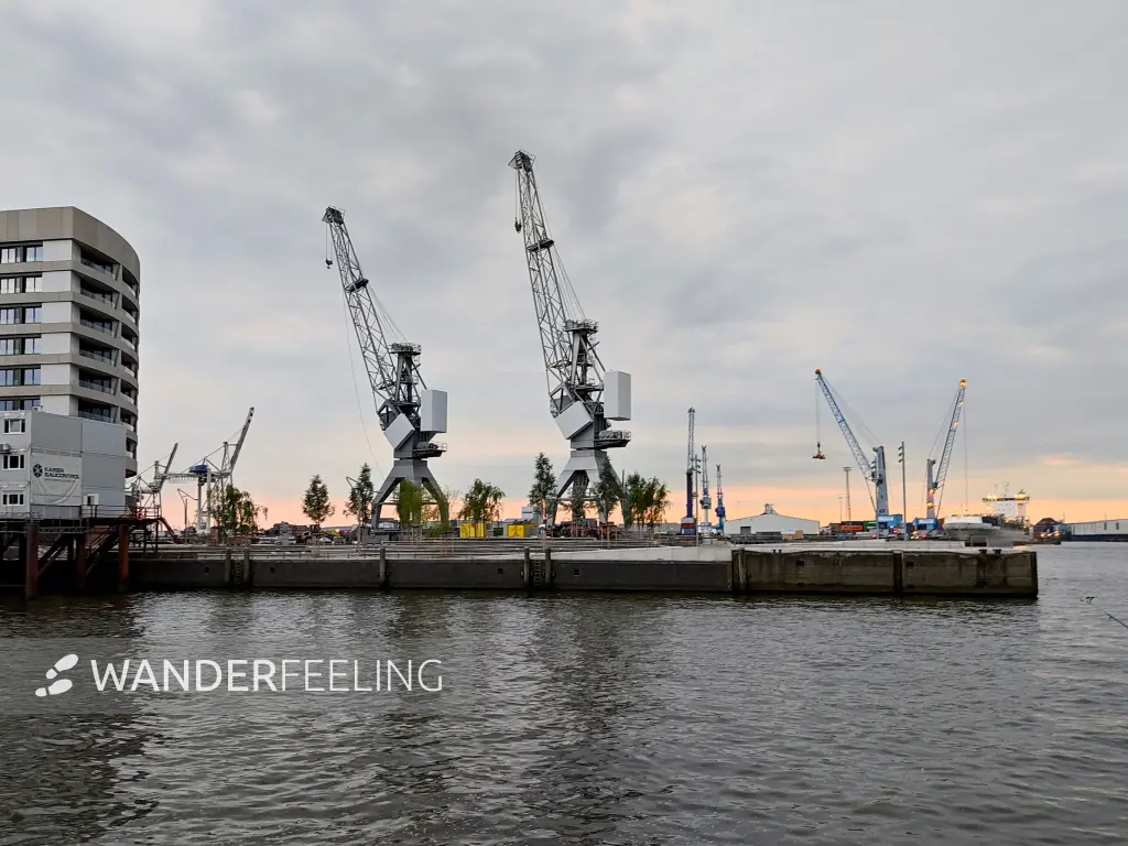 202308231-41 - Kräne in der HafenCity, Hamburg, Deutschland